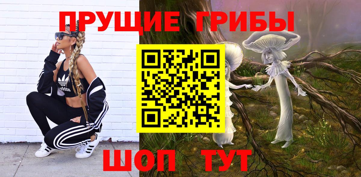 Галлюциногенные грибы Cubensis Арсеньев