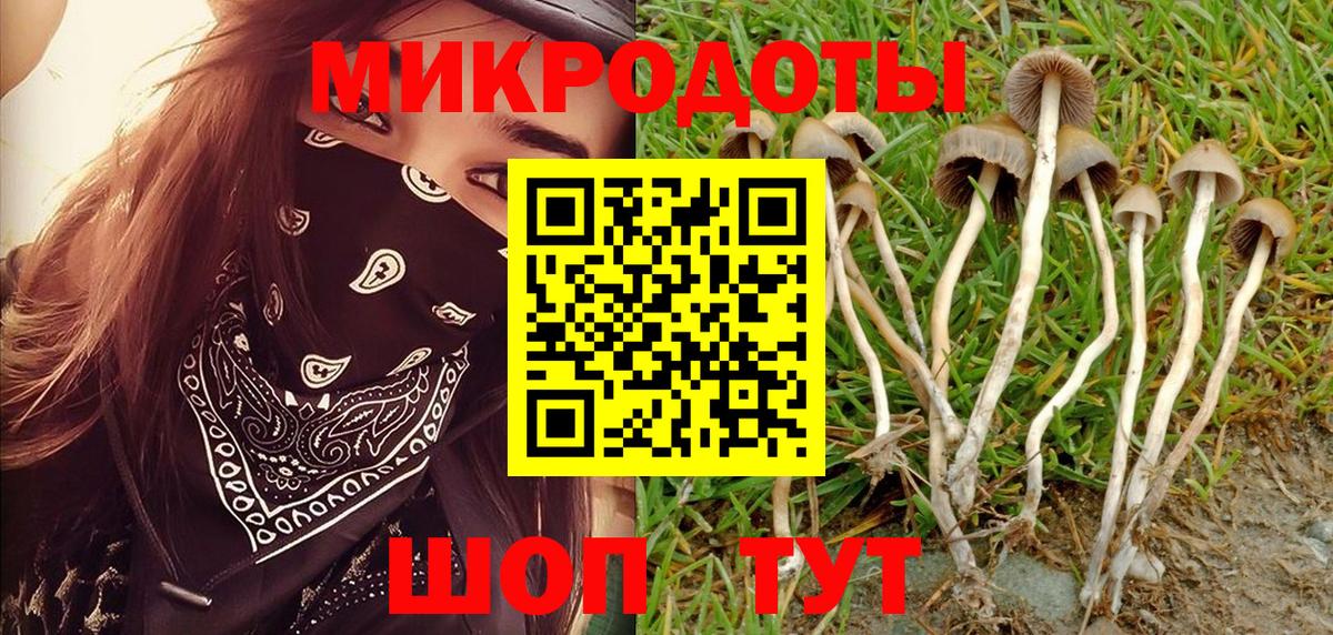 Арсеньев  Псилоцибиновые грибы мухоморы  сколько стоит  Вход с VPN 